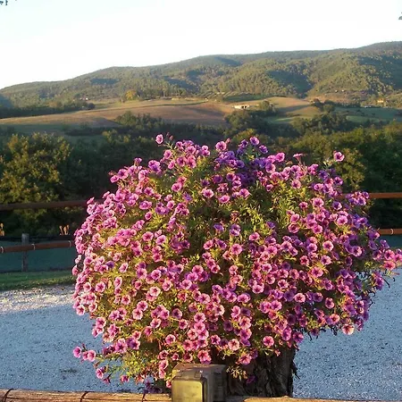 Holiday Il Pino